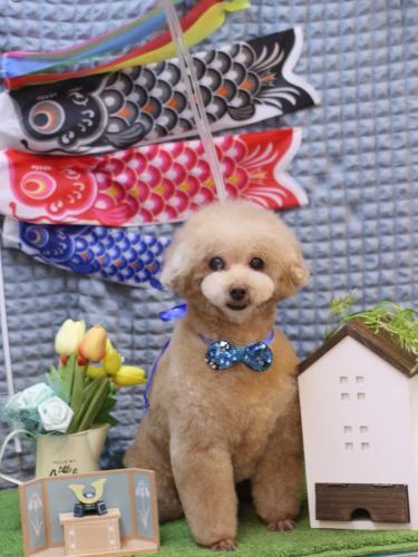 20230520HONEYちゃん